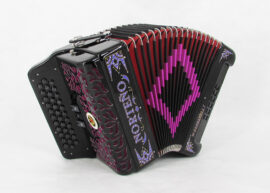 Norteño Brand Accordion 3 Registers Black/ Purple Euro