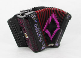 Norteño Brand Accordion 3 Registers Black/ Purple Sun