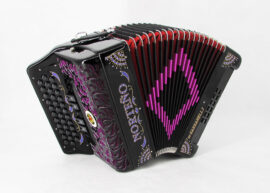 Norteño Brand Accordion 5 Registers Black / Purple Sun